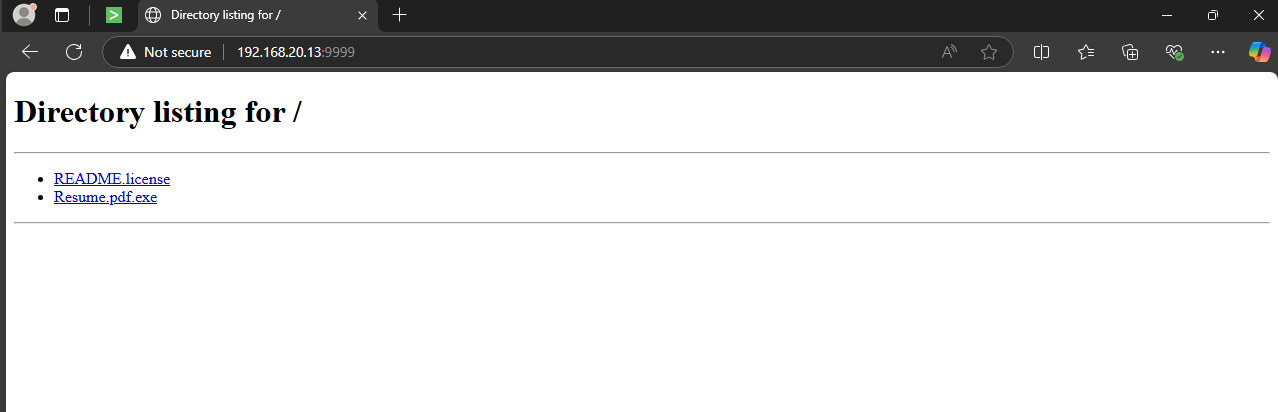 Accessing Attacker Server